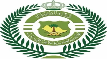 مكافحة المخدرات بنجران تطيح بمقيم مصري بحوزته كمية من الحشيش المخدر